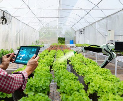 Manufacturing Strengths